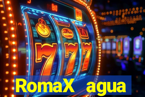 RomaX agua sanitaria fispq agua sanitaria romax